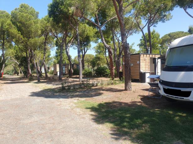 campingtoscanabella en offer-for-pitches-with-private-bathroom-at-a-campsite-in-tuscany 008